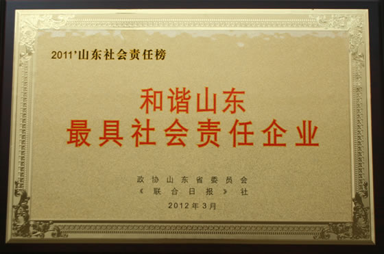 201203 和谐山东最具社会责任企业