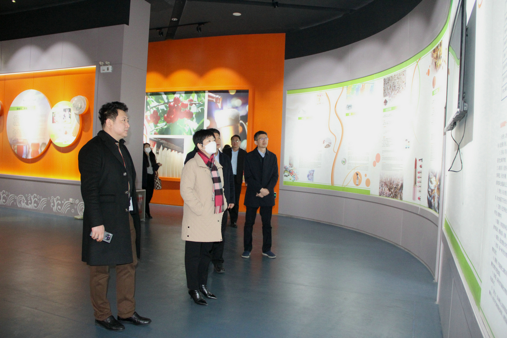 日照市副市长张金梅来华体网在线登录入口集团调研 日照市副市长张金梅来华体网在线登录入口集团调研