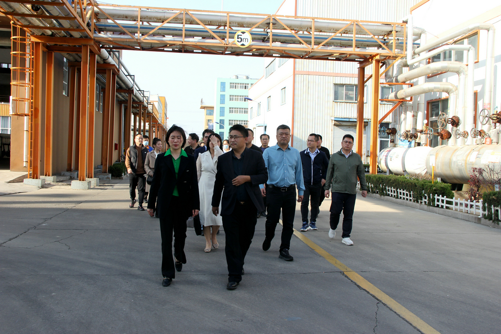 仙桃市党组成员张艳敏来华体网在线登录入口集团考察