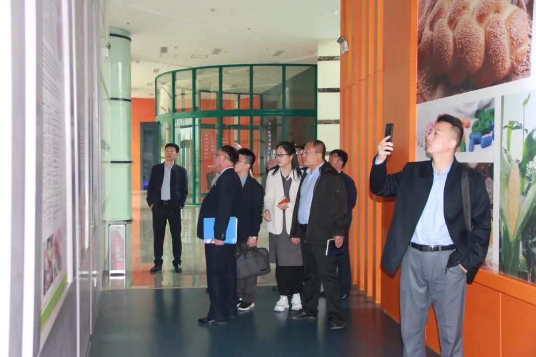 20260423朝鲜水产省代表团到华体网在线登录入口集团参观交流3